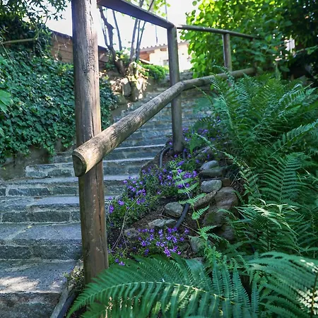 بيت ضيافة Casabella